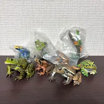 원색 양서류 개구리 도감 유진 피규어
