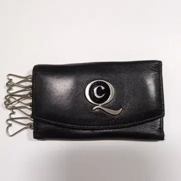 Alexander McQueen 키케이스