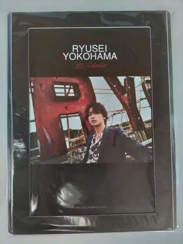 RYUSEI YOKOHAMA 2023 Calendar