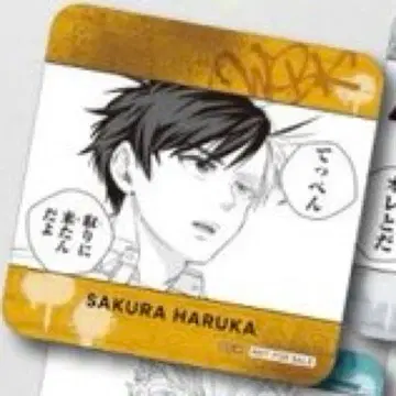 윈드브레이커전 벚꽃 하루카 코스터