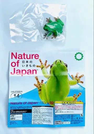 Nature of Japan 일본의 생물 02 일본청개구리