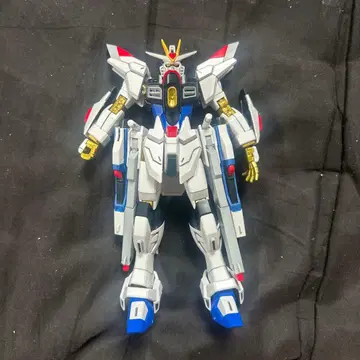 HGCE 마이티 스트라이크 프리덤 건담 (먹선 작업 있음 & 백팩 없음)