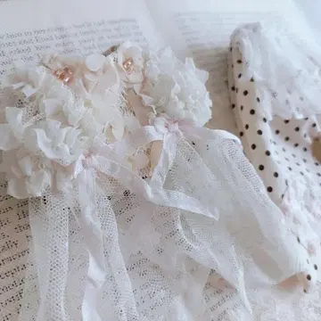 브라이스 아웃핏 네오 브라이스 아웃핏