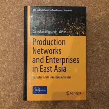 Production Networks and Enterprises in E