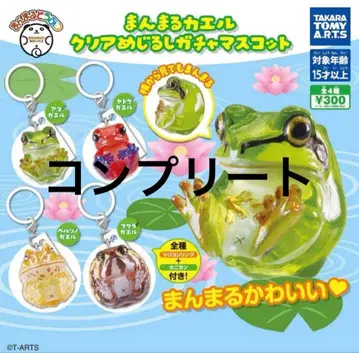 만마루 개구리 클리어 메지루시 가챠 마스코트 전 4종 컴플리트