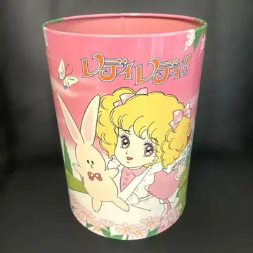 레이디 레이디!! 페일 캔 레트로 더스트 박스 캔 수납함 스틸 캔