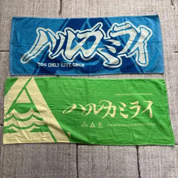 하루카미라이 타월