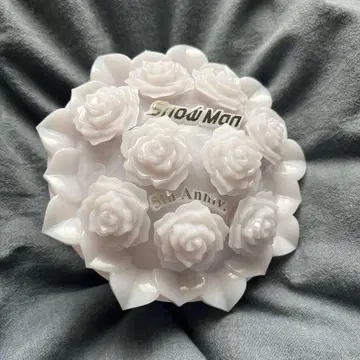 보호 커버 포함 SnowMan 스노우만 국립 닛산 2025 라이브 응원봉