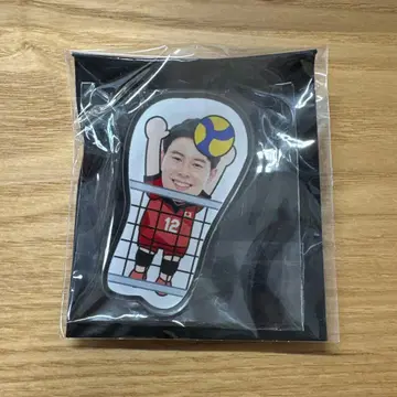 배구 일본 대표 산토리 선버즈 오사카 타카하시 란 클립 천황배