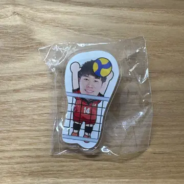 배구 일본 대표 이시카와 유키 클립 천황배