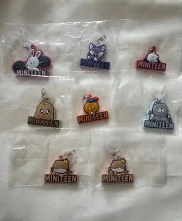 SEVENTEEN 미니틴 MINITEEN 메지루시 액세서리