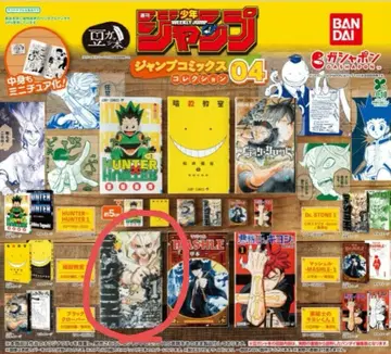 닥터 스톤 콩도서