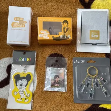 ARASHI JOURNEY 니노미야 카즈나리 세트