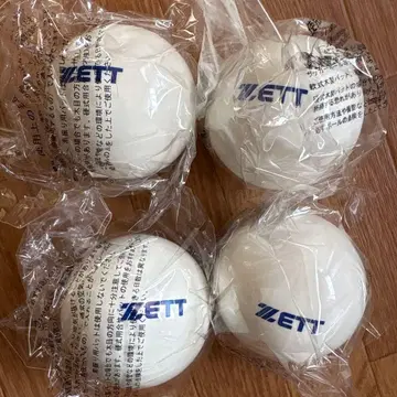 트레이닝 공 4개