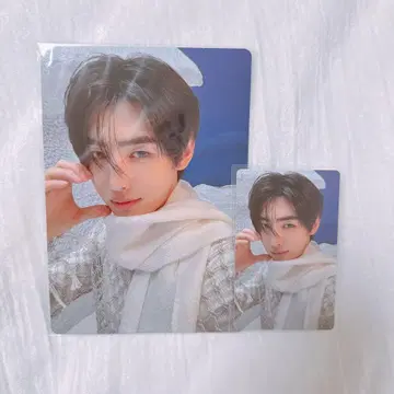 ENHYPEN 성훈 daydream weverse global 혜택