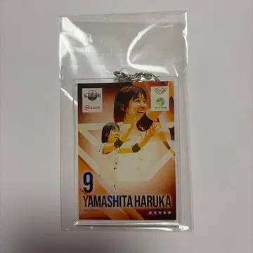 SV리그 올스타 게임 군마은행 그린윙스 야마시타 하루카 선수