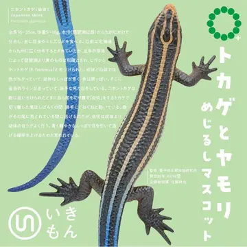 NTC MONO PLUS 도마뱀과 도마뱀 메지루시 마스코트 미사용 새상품