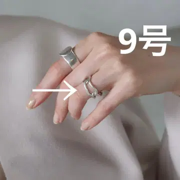 TEN. 페이트 반지 SILVER925 9호