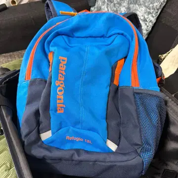 patagonia Refugio 18L 백팩