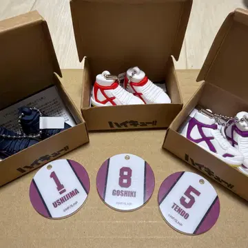 하이큐 미니어처 신발 컬렉션 우시지마 텐도 고시키 시라토리자와