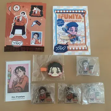 카리스마 이토 후미야 세트 씰 프린트 헤어핀 키링 폴라로이드