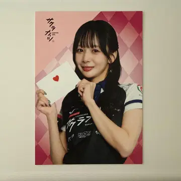 M리그 오카다 사쿠라 사쿠라 나이츠 엽서