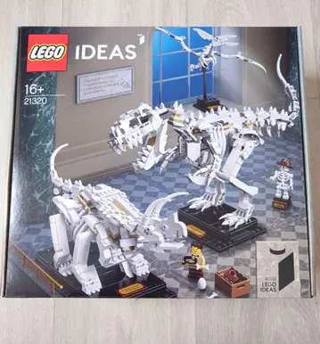 LEGO IDEAS 공룡 화석 티라노사우루스 트리케라톱스 프테라노돈