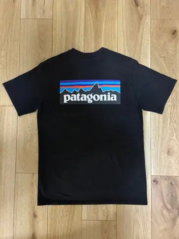 patagonia 블랙 T셔츠 백프린트