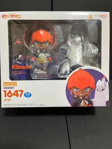 넨도로이드 포켓몬스터 포켓몬 소드 실드 검 방패 키바나