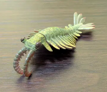 특별전 [생명 대약진] 회장 한정판 피규어 아노말로카리스