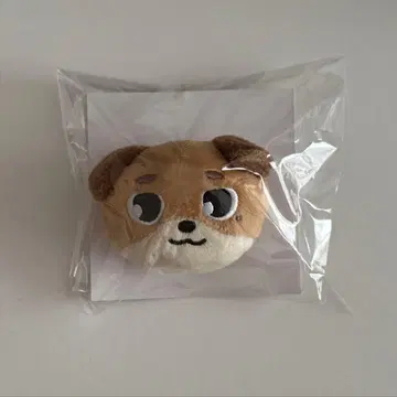 DAY6 도운 봉제 인형 배치