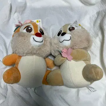 한국 다이소 칩과 데일 봉제 인형 2체 세트 약 20cm