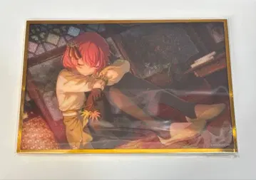 프로세카 해피 컬렉션 복권 하피코레 모모이 아이리 아크릴 색지 C
