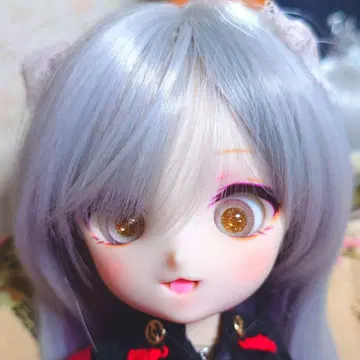 DD 드림 초이스 드리초 한정판 헤드