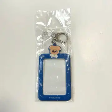 Stray Kids victory 퍼핌 카드 홀더