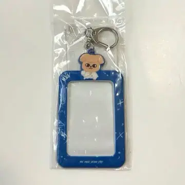 Stray Kids 퍼핌 카드 홀더