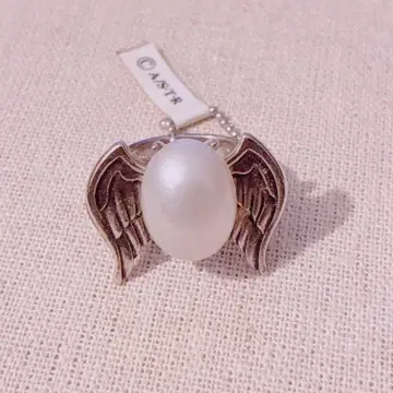 가정교사 히트맨 REBORN 마레 링 백란