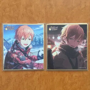 프로세카 시노노메 아키토 색지 53C 묶음 판매