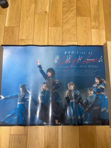 케야키자카46 사쿠라자카46 포스터 12장 세트