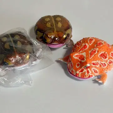 생물대도감 쁘띠 뿔개구리와 아메후쿠라개구리 3체 세트