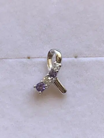 14k WG 목걸이 탑