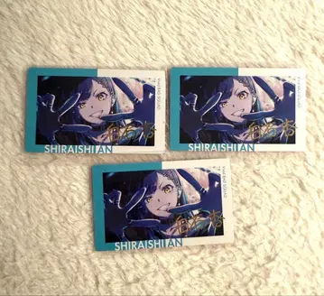 시라이시 안 에피카 26A 금박