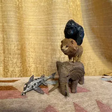 하시모토 미오 맹수들의 음악대 (코끼리 사자 고릴라) 상어