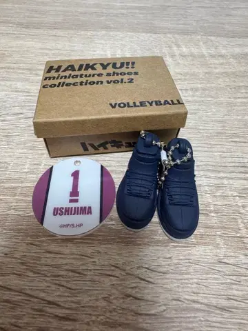 하이큐!! 미니어처 신발 vol.2 우시지마 와카토시
