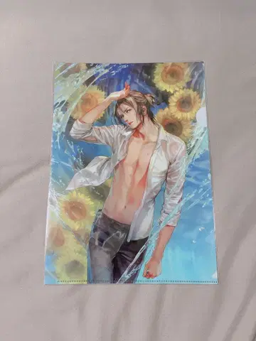 죄수 파르마 아오이 클리어 파일 2장 세트