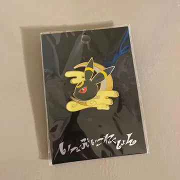 포켓몬 센터 한정판 블래키 이브이 컬렉션 핀 배지