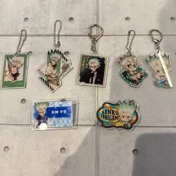 Dr.STONE 닥터스톤 이시가미 센쿠 아크릴 키링 네임 배지