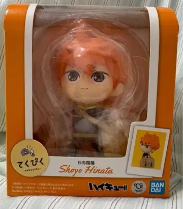 테쿠피쿠 쇼요 히나타 피규어