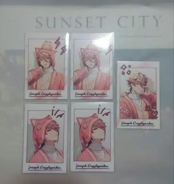 니지산지 VOLTACTION 세라프 다즐 가든 폴라로이드 파자마