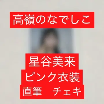 타카네노 나데시코 호시야 미라이 친필 폴라로이드